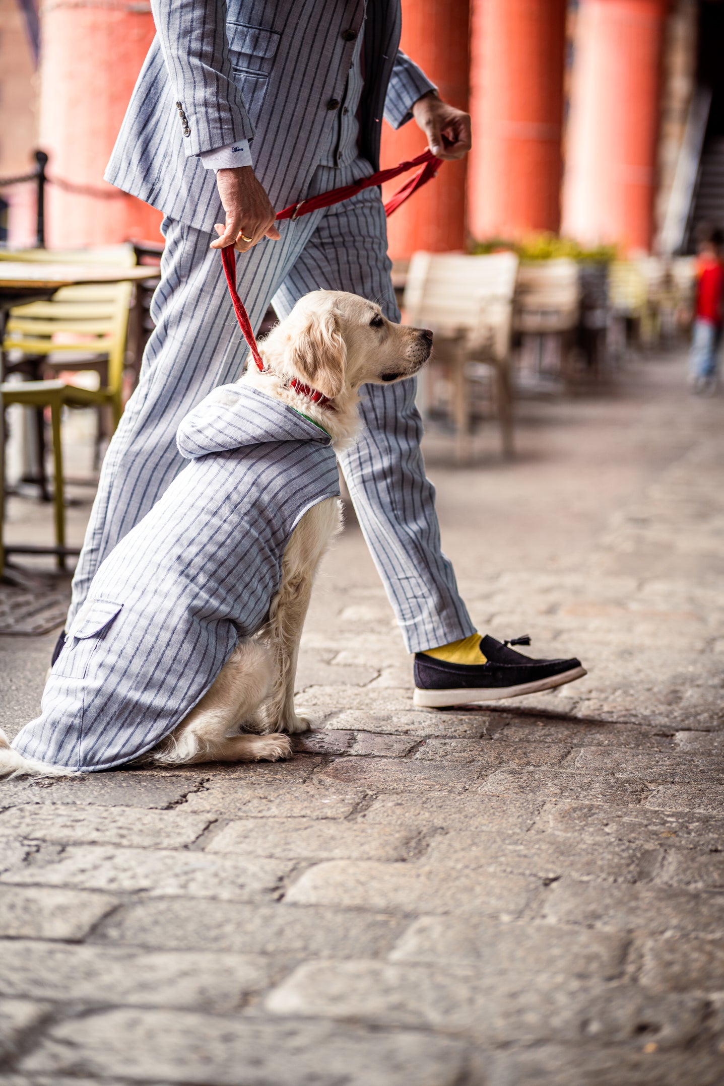 Bespoke Outwear Suit for Dogs Bespoke Outwear Suit for Dogs